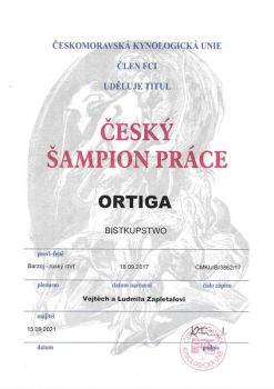 Český šampion práce Ortiga